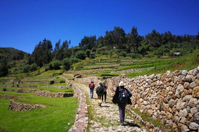 Half day Acclimatization Hike with Llamas and Alpacas in Cusco - The Itinerary: A Closer Look