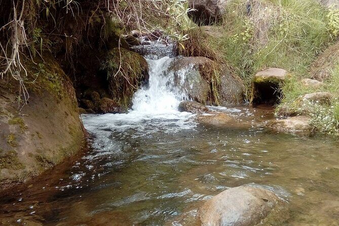 Half day Acclimatization Hike with Llamas and Alpacas in Cusco - The Sum Up
