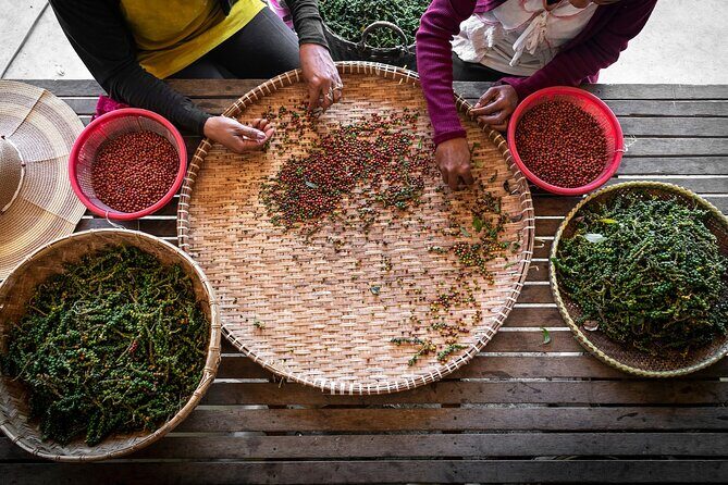 Half-Day Adventure to the Pepper Farm by Scooter - Key Points