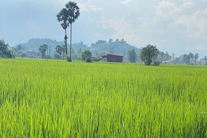 Half-Day Adventure to the Pepper Farm by Scooter - A Balanced Look at the Experience