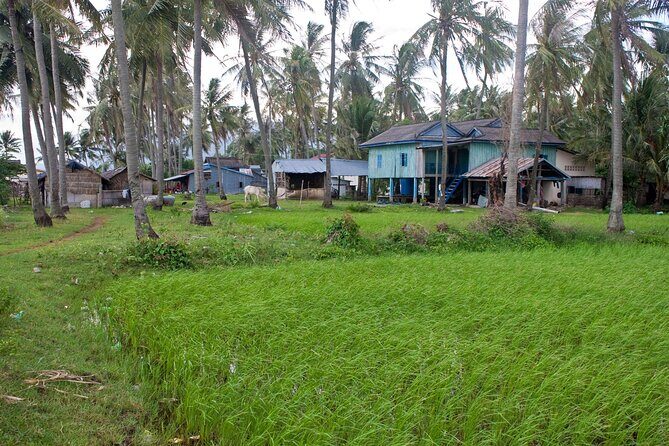 Half-Day Adventure to the Pepper Farm by Scooter - Who Should Consider This Tour?