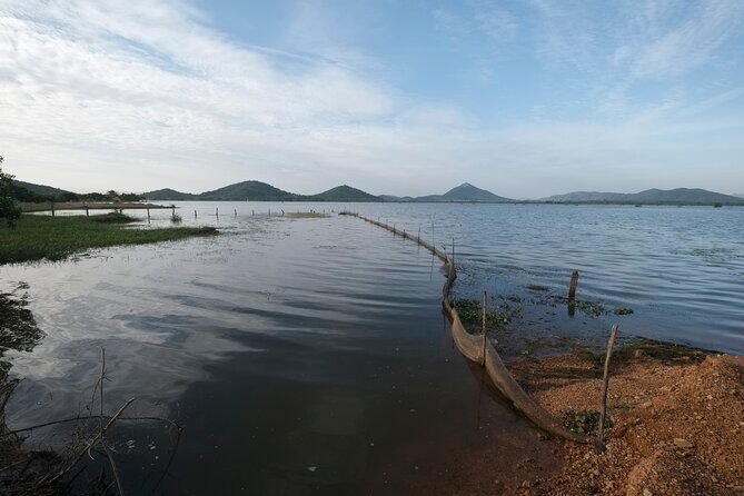 Half-Day Adventure to the Pepper Farm by Scooter - The Sum Up: Why This Tour Is a Great Choice