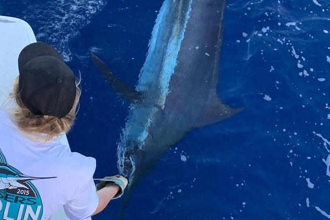 Half Day Afternoon Angler Charter - The Value of This Fishing Adventure