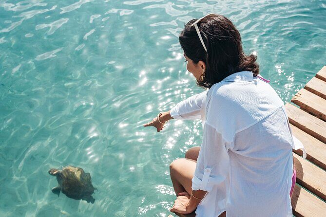 Half Day All West Beach Hopping - FAQ