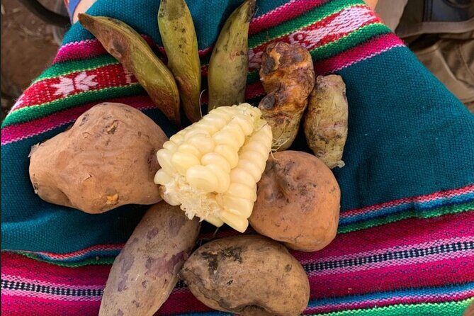 Half Day Andean Llama Trek in the Sacred Valley - Discover the Authentic Charm of the Half Day Andean Llama Trek in the Sacred Valley