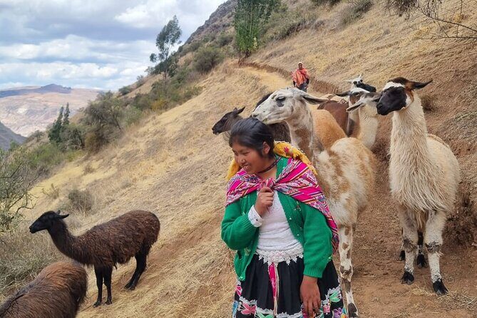 Half Day Andean Llama Trek in the Sacred Valley - An In-Depth Look at the Experience