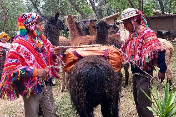 Half Day Andean Llama Trek in the Sacred Valley - Final Words