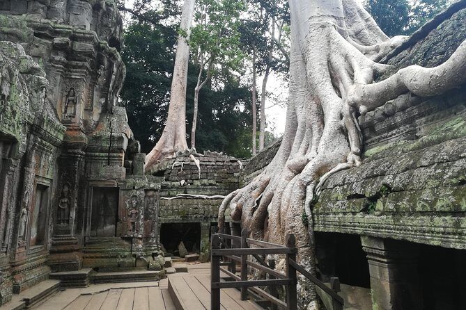 Half Day Angkor Wat Sunrise Private Tour - Why This Tour Works Well for You