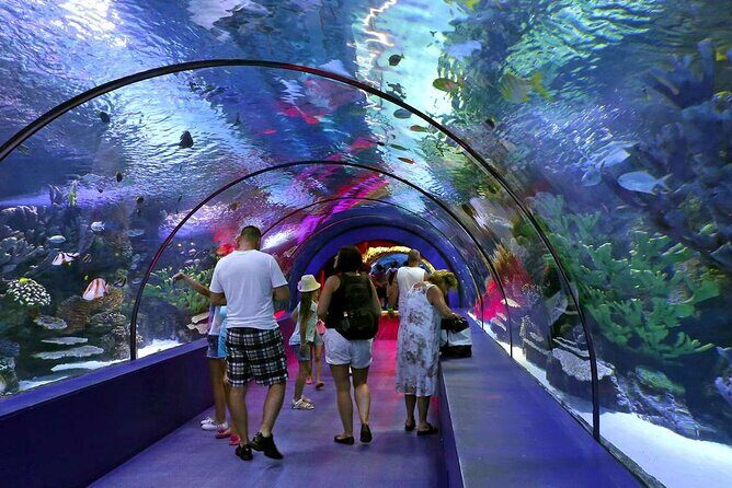 Half Day Antalya Aquarium Tour And Wax Museum - The Experience: What You Can Expect