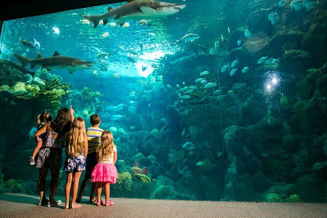 Half Day Antalya Aquarium Tour And Wax Museum - Who Will Love This Tour?