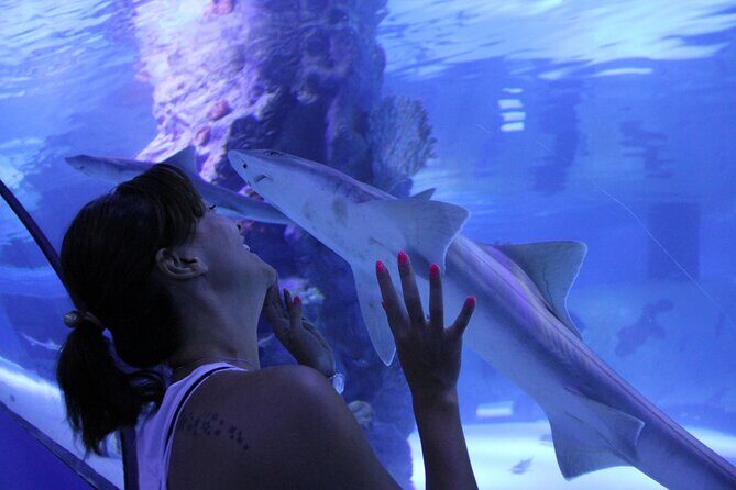 Half Day Antalya Aquarium Tour And Wax Museum - Final Thoughts: Is It Worth It?