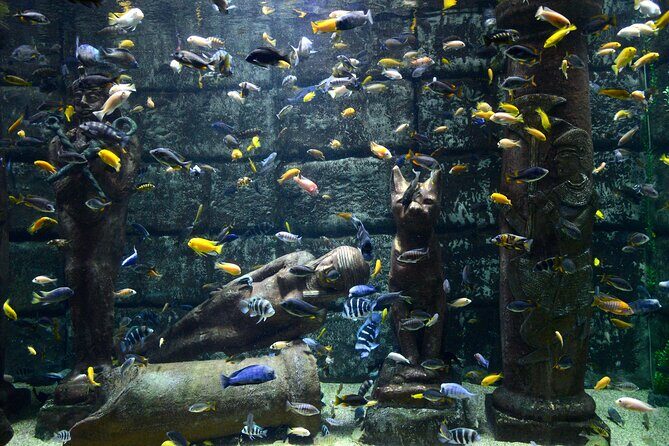 Half Day Antalya Aquarium Tour And Wax Museum - FAQ