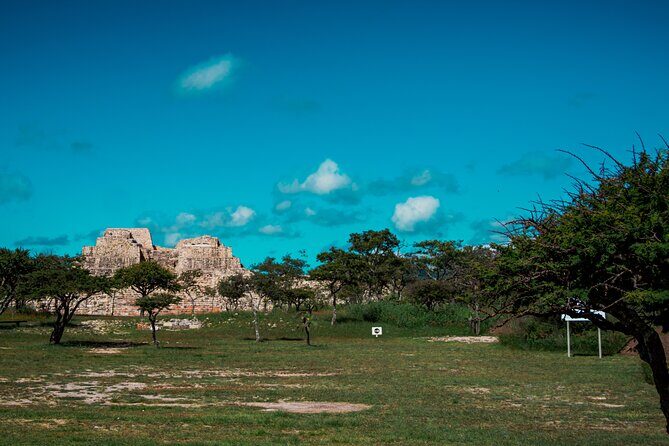 Half-Day Archeological Private Tour in San Miguel De Allende - Who Should Book This Tour?