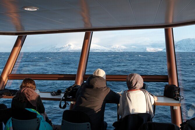 Half Day Arctic Fjord Cruise from Tromso - Stop 2: Kvaloya (45 minutes)