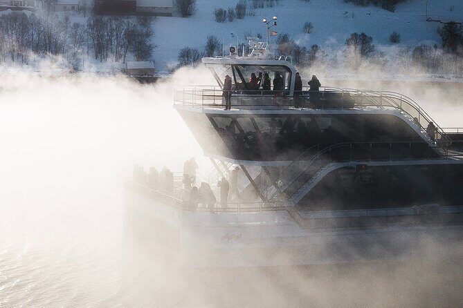 Half Day Arctic Fjord Cruise from Tromso - The Onboard Experience: Comfort Meets Education
