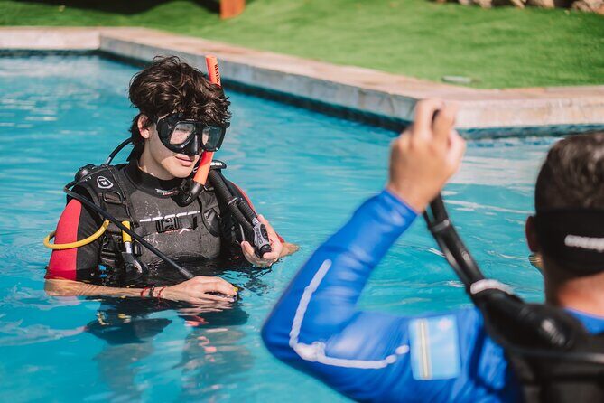 Half-Day Aruba Intro Diving Course for Beginners - The Authenticity and Value of This Experience