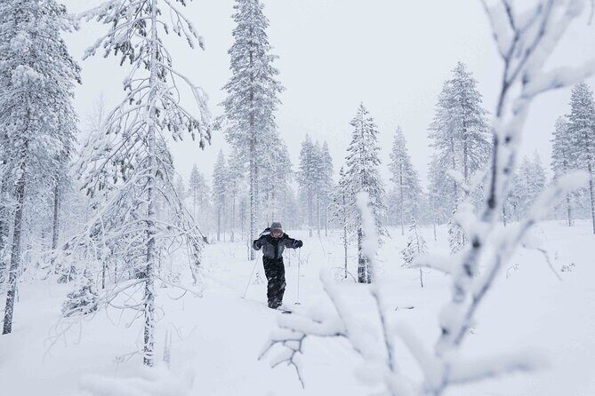 Half-Day Backcountry Skiing Tour in Levi with Photography Guide - Key Points