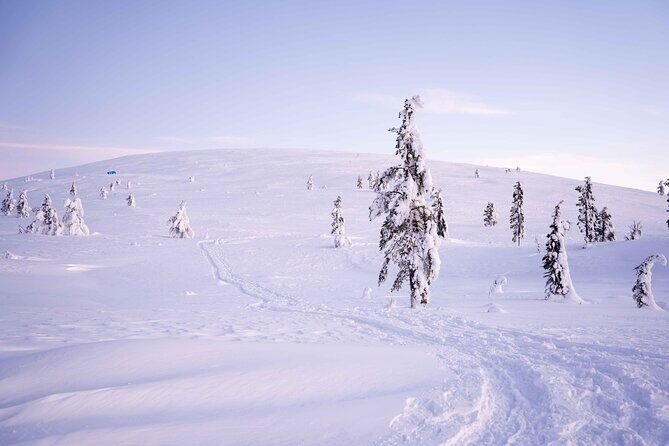 Half-Day Backcountry Skiing Tour in Levi with Photography Guide - FAQs