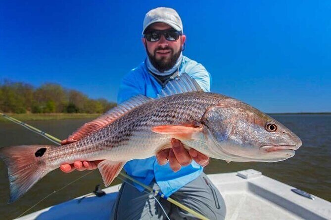 Half-Day Backwater Fishing in Naples, Florida - Introduction: What Makes This Backwater Fishing Tour Stand Out