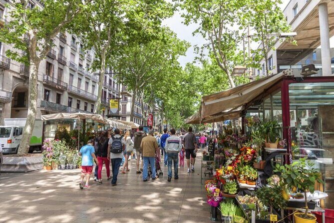 Half Day Barcelona Private Walking Tour - Key Points
