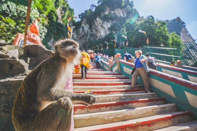 Half Day Batu Caves Group Tour in Kuala Lumpur Including Pickup - The Sum Up: Is This Tour Right for You?