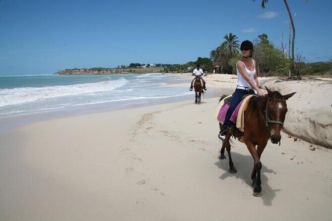 Half-Day Beach Horse Back Riding in Puerto Plata - Key Points