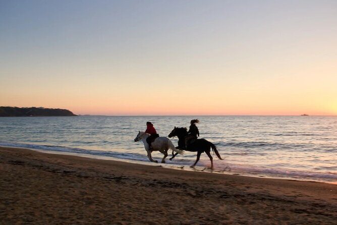 Half-Day Beach Horse Back Riding in Puerto Plata - Practical Tips for Your Ride