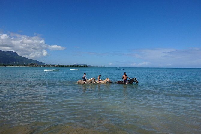 Half-Day Beach Horse Back Riding in Puerto Plata - Who Will Love This Tour?