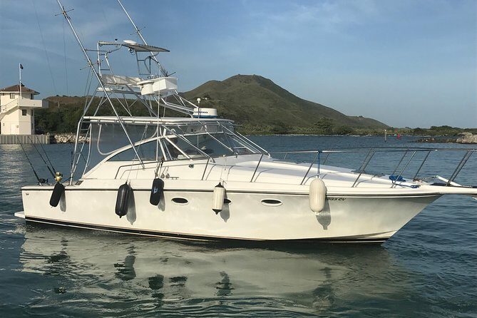 Half Day Big Game Fishing private charter - Why Choose This Experience?