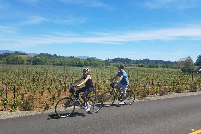 Half Day Bike Tour - A Detailed Look at the Half-Day Bike Tour in Sonoma & Napa