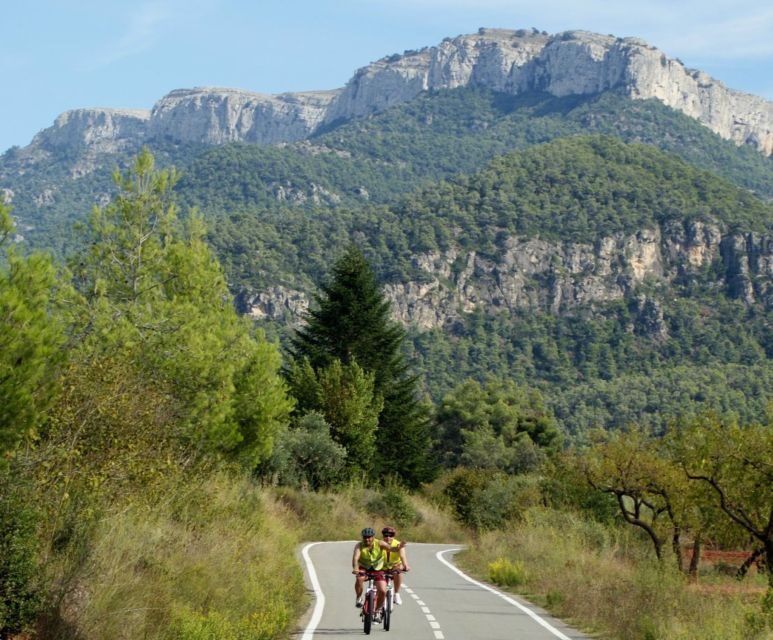 Half-Day Bike Tour from Salou - Key Points