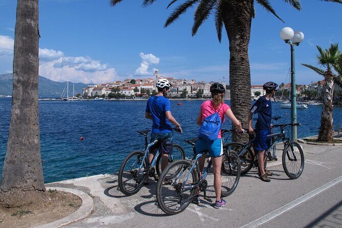 Half-Day Bike Tour in Lumbarda with Wine Tasting - Who Should Consider This Tour