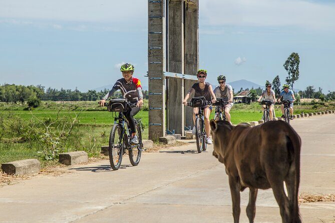 Half-Day Bike Tour in the Hoi An Countryside - Discover the Authentic Charm of Hoi An’s Countryside on a Guided Bike Tour