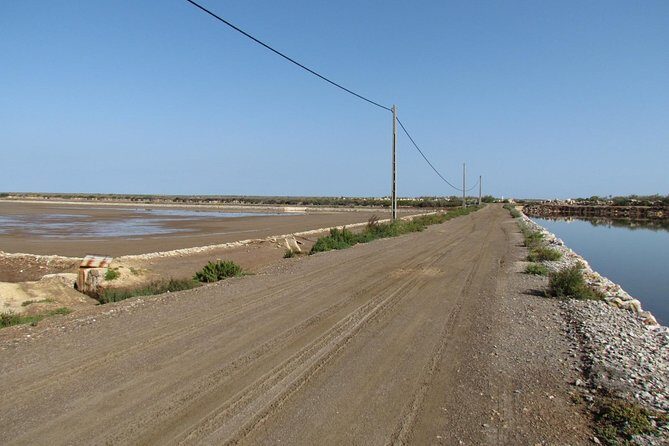 Half-day birdwatching around Tavira - Key Points