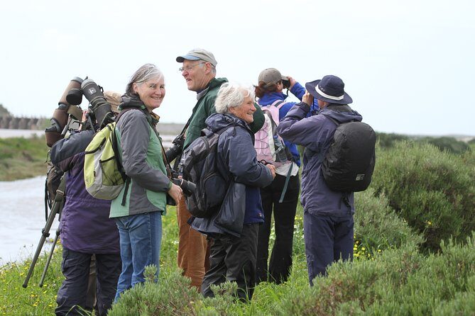 Half-day birdwatching at the Abicada marshed - Key Points