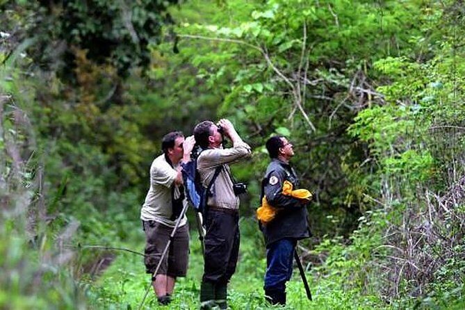 Half Day Birdwatching in Cerro Blanco from Guayaquil - Experience the Best Birdwatching in Guayaquil at Cerro Blanco