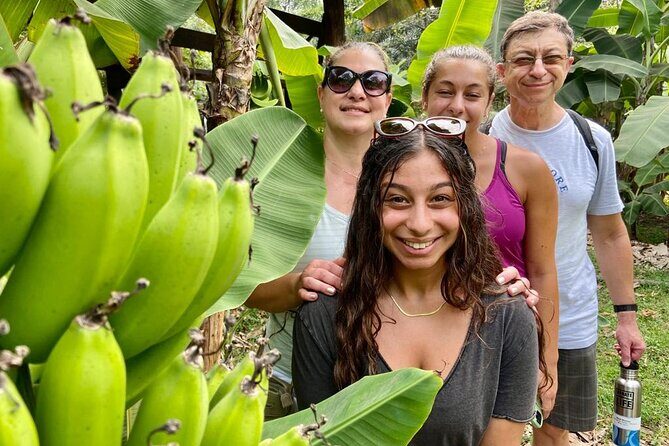Half Day Bliss Cacao Farm Adventure & Guayaquil City Highlights - An In-Depth Look at the Guayaquil & Cacao Tour