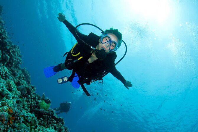 Half day boat diving experience for beginners in Kos Greece - Key Points