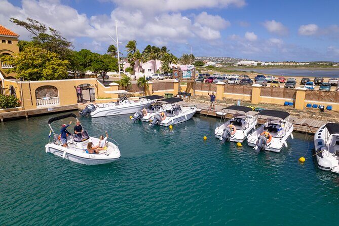 Half Day Boat Rental on Bonaire - Key Points