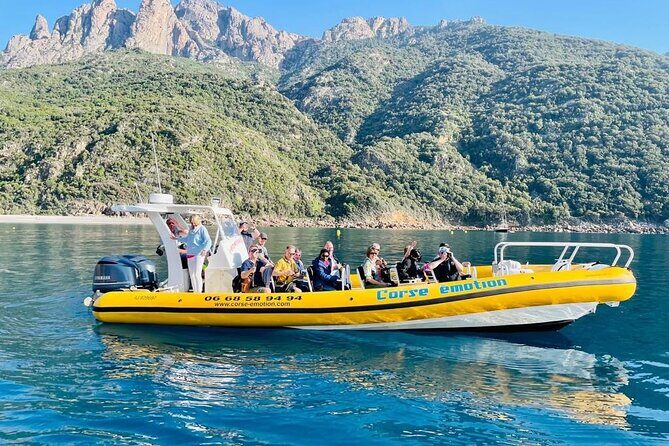 Half Day Boat Trip to Scandola Calanche de Piana - The Sum Up