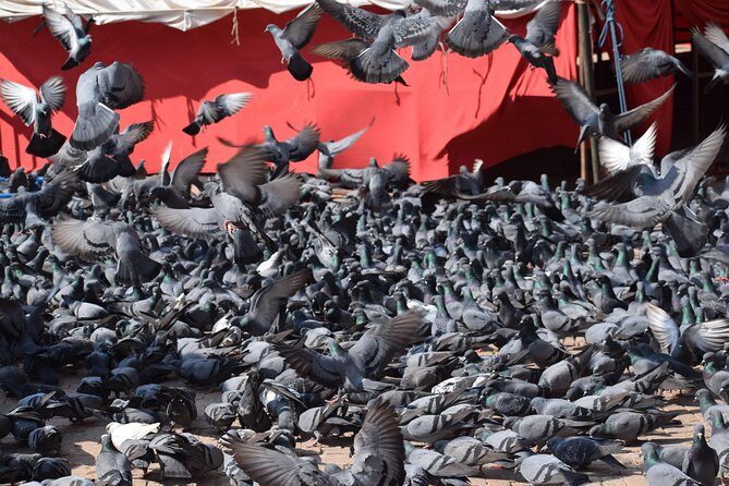 Half Day Boudhanath Stupa Tour in Kathmandu - Who Should Book This Tour?