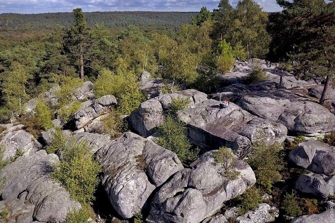 Half-Day Bouldering in Fontainebleau - Key Points