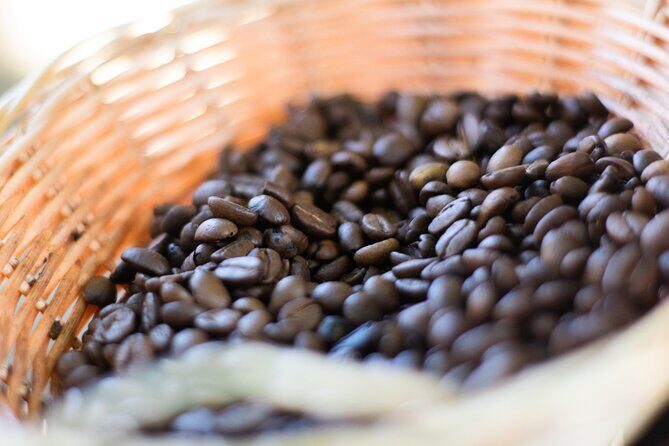 Half-Day Buggy Guided Adventure for Amber Cove and Taino Bay - Who Should Book This Tour?