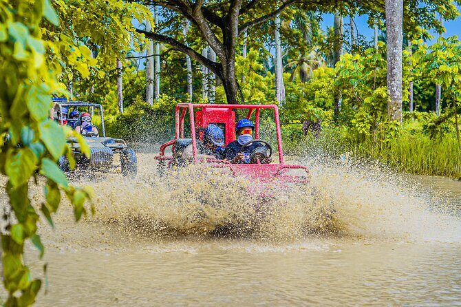 Half-Day Buggy Tour to Water cenote and Macao Beach in Punta Cana - Who Is This Tour Best For?