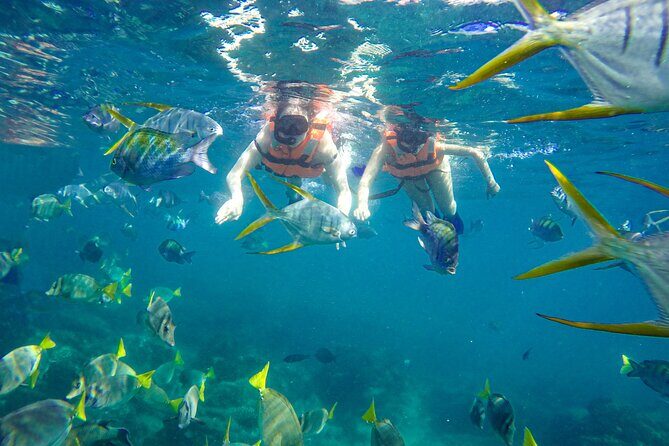 Half Day Cabo Snorkel Adventure with Lunch and Open Bar - Transportation, Group Size, and Practical Details