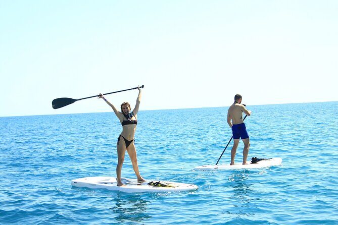 Half Day Cabo Snorkel Adventure with Lunch and Open Bar - To Sum Up