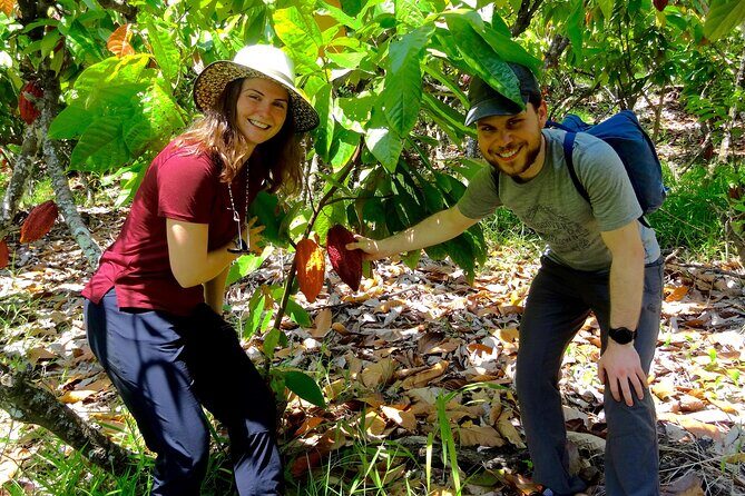 Half Day Cacao Farm and Guayaquil City Highlights Tour - The Heart of the Experience: Finca Cumanda