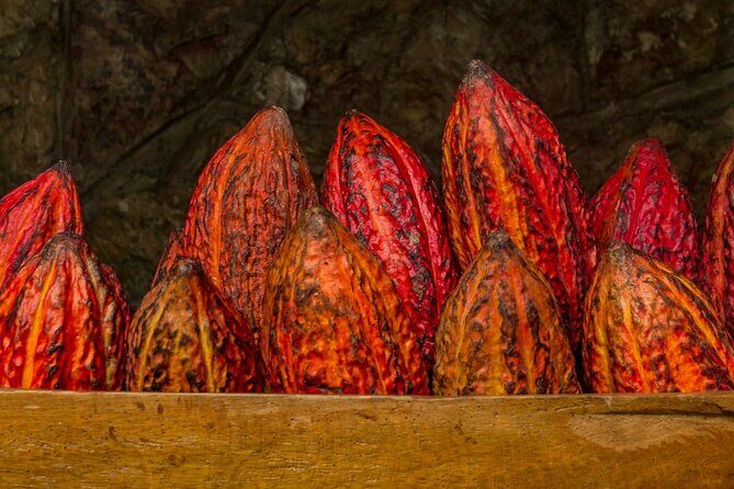 Half Day Cacao Farm and Guayaquil City Highlights Tour - FAQ