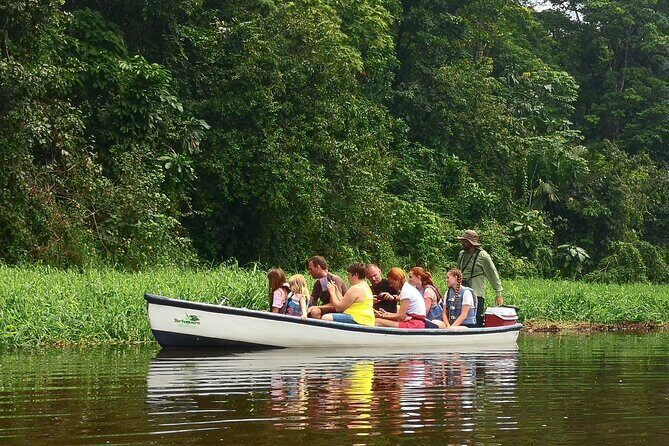 Half-Day / Canoe and Hike in to Tortuguero National Park - Detailed Review of the Experience