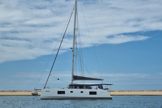 Half Day Catamaran Tour in Algarve - Lagos - Who Will Love This Experience?